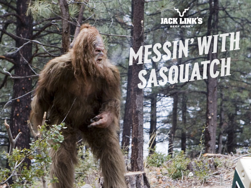 sassquatch